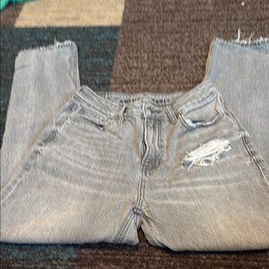 American Eagle Outfitters Light Gray Distressed  Mom Jeans Size 2